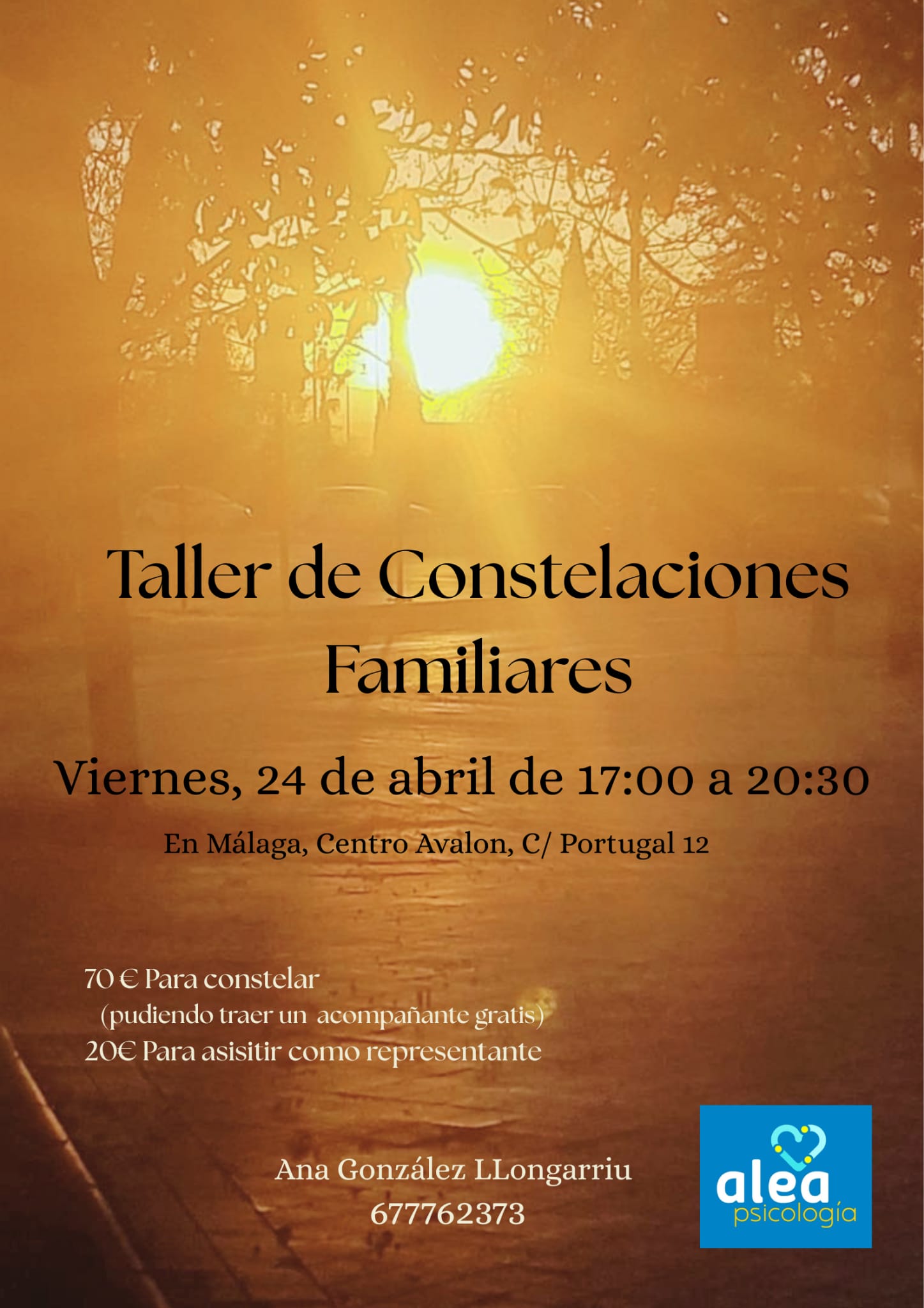 Taller de constelaciones familiares 24 de abril de 2026